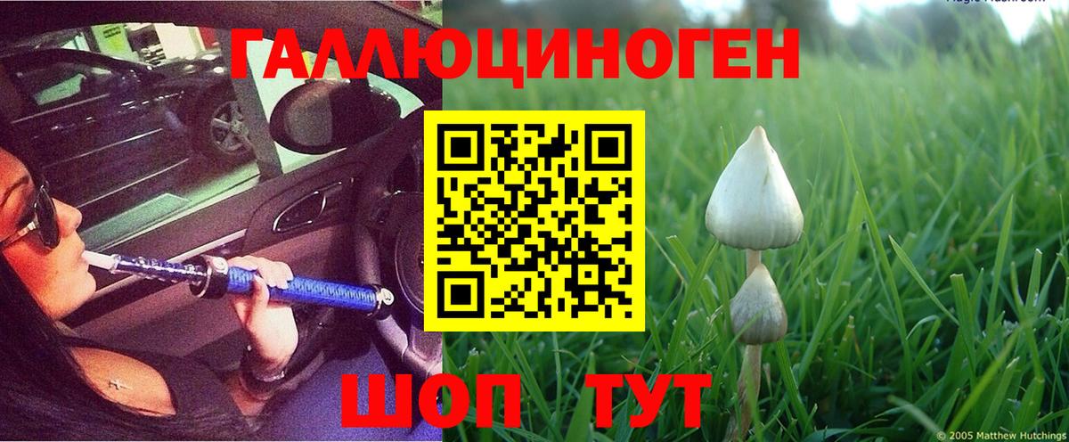 Псилоцибиновые грибы мухоморы  Вход с VPN  Электрогорск 